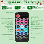 2 In 1 Holiday Projector with remote control